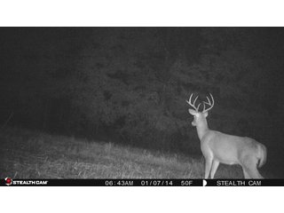 Property photo 76 - LAND AUCTION - 1,682+/- ACRES OFFERED IN 17 TRACTS IN LEWIS & GREENUP COUNTIES, KENTUCKY
